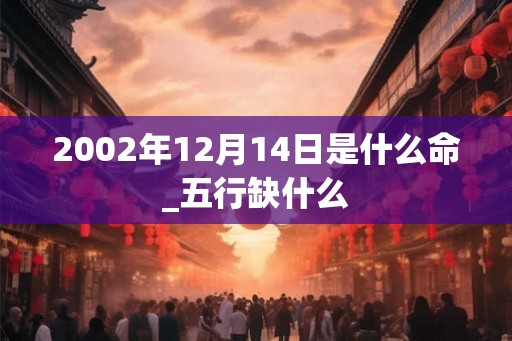 2002年12月14日是什么命_五行缺什么
