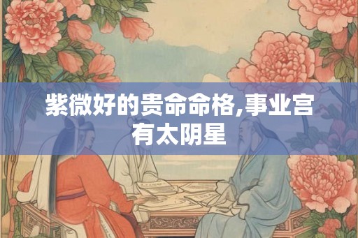 紫微好的贵命命格,事业宫有太阴星