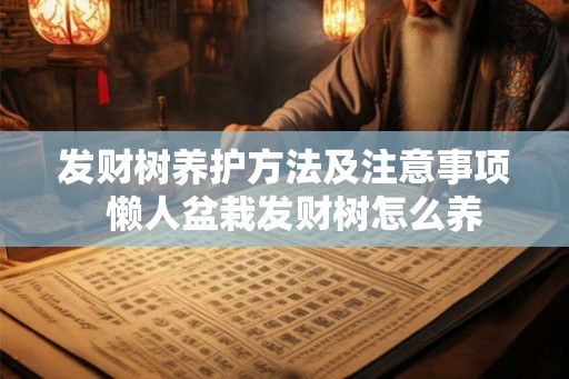 发财树养护方法及注意事项  懒人盆栽发财树怎么养