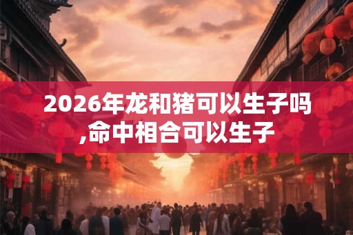 2026年龙和猪可以生子吗,命中相合可以生子