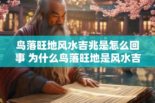 鸟落旺地风水吉兆是怎么回事 为什么鸟落旺地是风水吉兆
