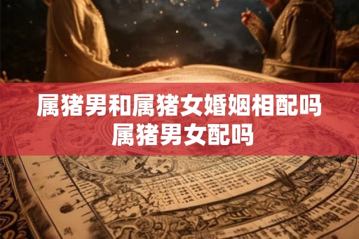 属猪男和属猪女婚姻相配吗 属猪男女配吗
