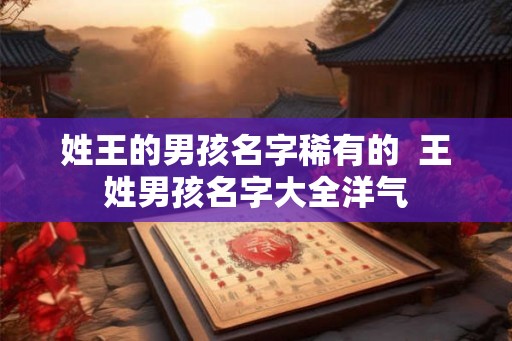 姓王的男孩名字稀有的  王姓男孩名字大全洋气