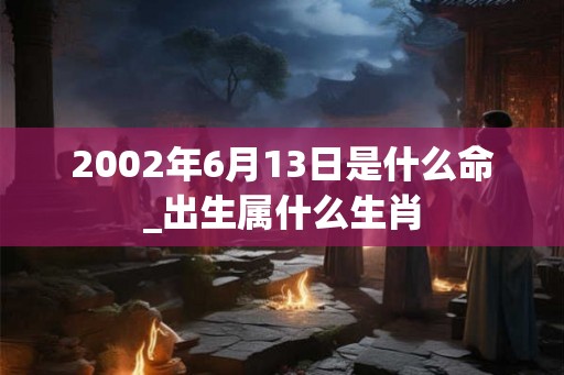 2002年6月13日是什么命_出生属什么生肖