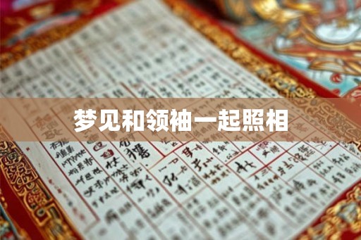 梦见和领袖一起照相