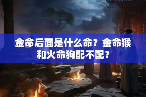 金命后面是什么命?金命猴和火命狗配不配? 金命后面是什么命?金命猴和火命狗配不配?