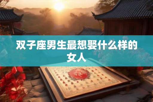 双子座男生最想娶什么样的女人