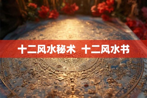 十二风水秘术  十二风水书