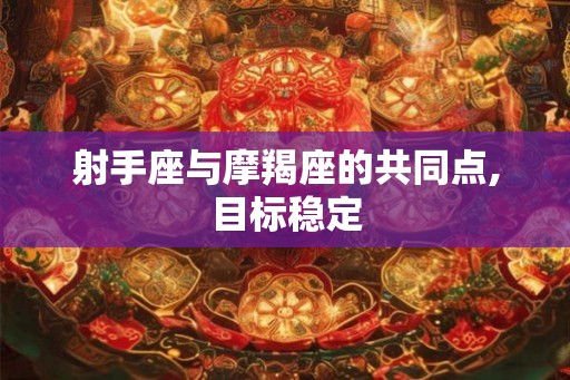 射手座与摩羯座的共同点,目标稳定