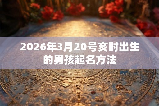 2026年3月20号亥时出生的男孩起名方法