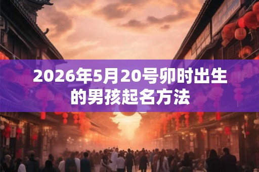 2026年5月20号卯时出生的男孩起名方法