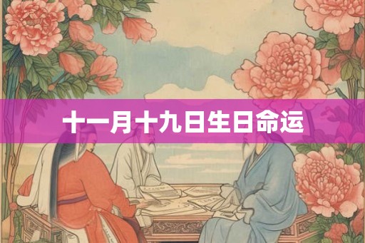 十一月十九日生日命运 十一月十九日生日命运