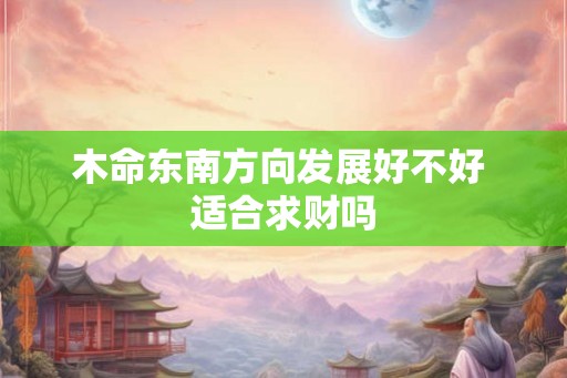 木命东南方向发展好不好 适合求财吗
