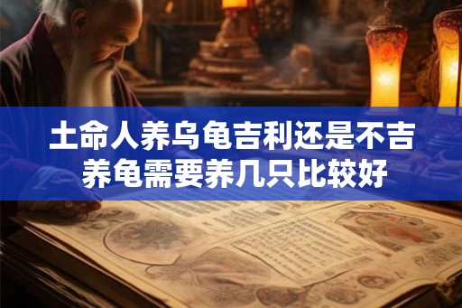 土命人养乌龟吉利还是不吉 养龟需要养几只比较好