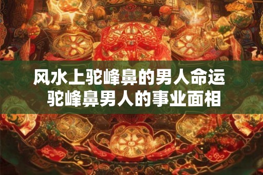 风水上驼峰鼻的男人命运  驼峰鼻男人的事业面相