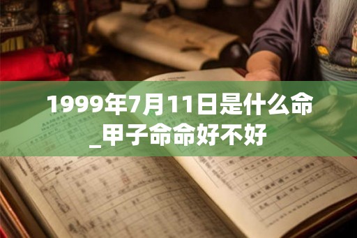 1999年7月11日是什么命_甲子命命好不好