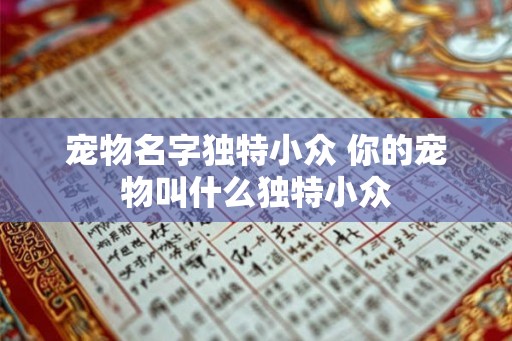 宠物名字独特小众 你的宠物叫什么独特小众