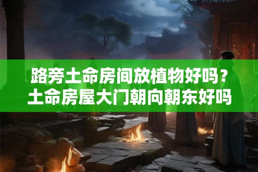 路旁土命房间放植物好吗？土命房屋大门朝向朝东好吗？