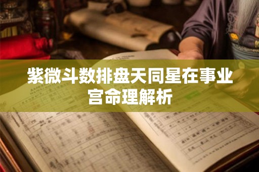 紫微斗数排盘天同星在事业宫命理解析
