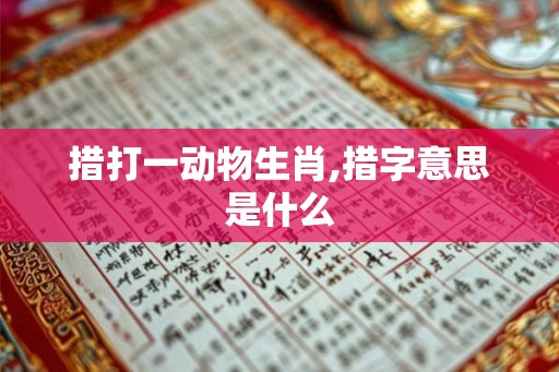 措打一动物生肖,措字意思是什么