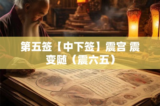 第五签【中下签】震宫 震变随（震六五）