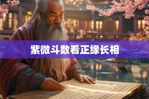 紫微斗数看正缘长相 紫微斗数看正缘长相