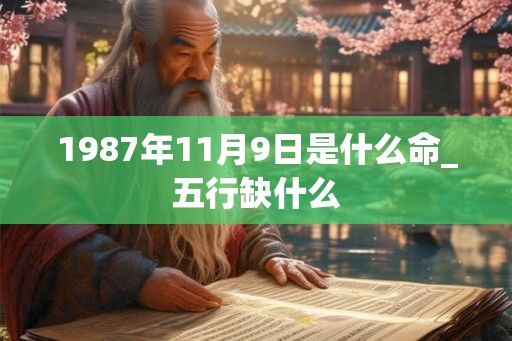 1987年11月9日是什么命_五行缺什么