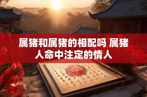 属猪和属猪的相配吗 属猪人命中注定的情人 属猪和属猪的相配吗 属猪人命中注定的情人