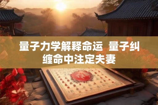 量子力学解释命运  量子纠缠命中注定夫妻