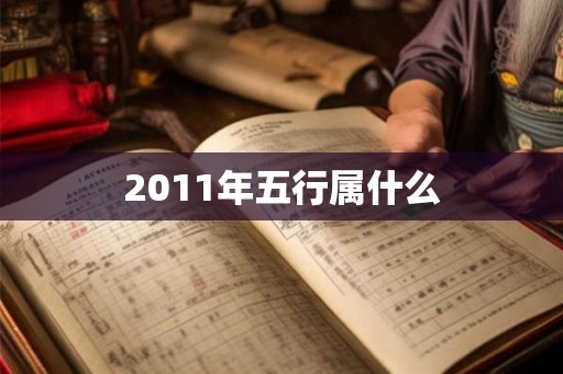 2011年五行属什么