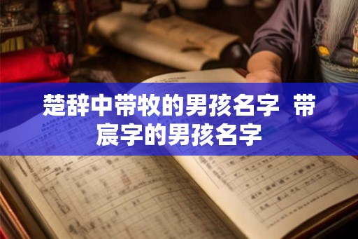 楚辞中带牧的男孩名字  带宸字的男孩名字