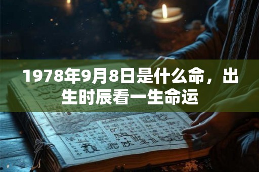 1978年9月8日是什么命，出生时辰看一生命运