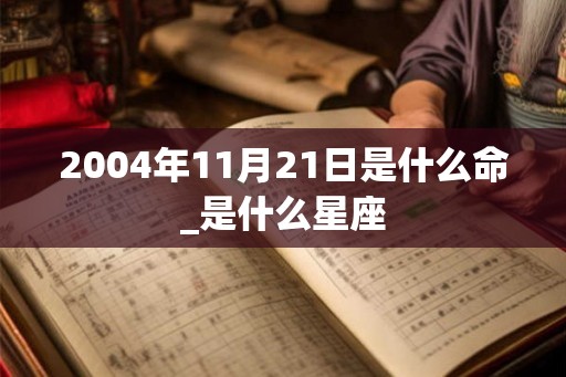2004年11月21日是什么命_是什么星座