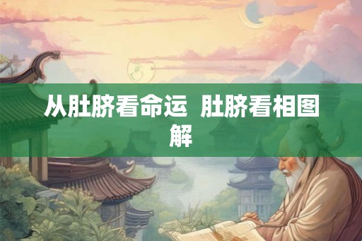 从肚脐看命运  肚脐看相图解