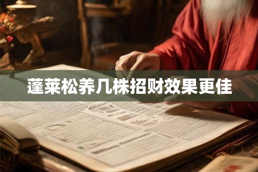 蓬莱松养几株招财效果更佳