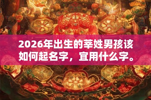 2026年出生的莘姓男孩该如何起名字，宜用什么字。