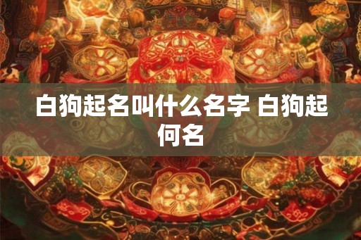 白狗起名叫什么名字 白狗起何名