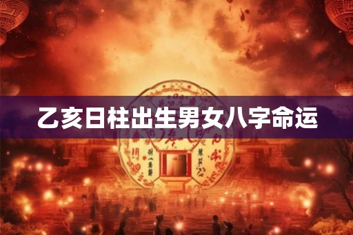 乙亥日柱出生男女八字命运