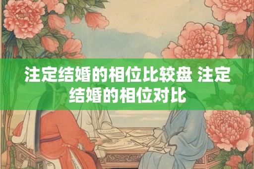 注定结婚的相位比较盘 注定结婚的相位对比