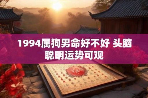 1994属狗男命好不好 头脑聪明运势可观 1994属狗男命好不好 头脑聪明运势可观
