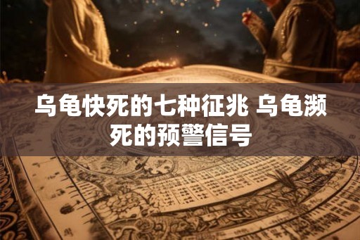 乌龟快死的七种征兆 乌龟濒死的预警信号
