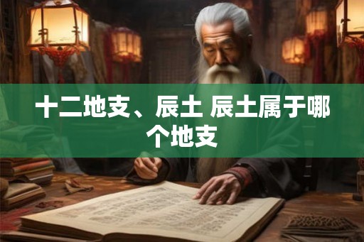 十二地支、辰土 辰土属于哪个地支