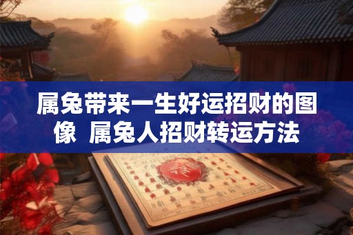 属兔带来一生好运招财的图像  属兔人招财转运方法