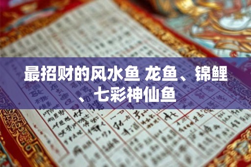 最招财的风水鱼 龙鱼、锦鲤、七彩神仙鱼