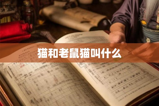 猫和老鼠猫叫什么