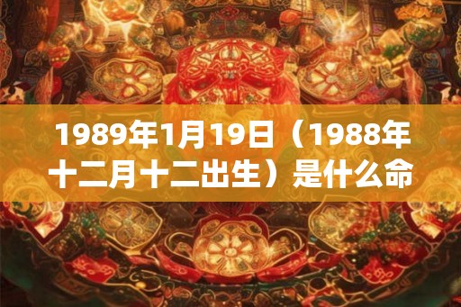 1989年1月19日（1988年十二月十二出生）是什么命_命运如何