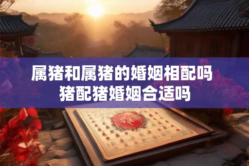 属猪和属猪的婚姻相配吗 猪配猪婚姻合适吗