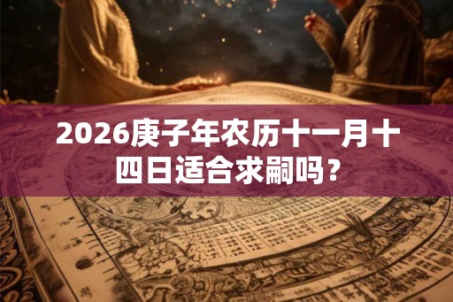 2026庚子年农历十一月十四日适合求嗣吗？