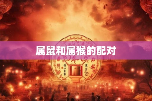 属鼠和属猴的配对