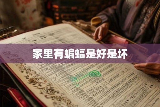 家里有蝙蝠是好是坏